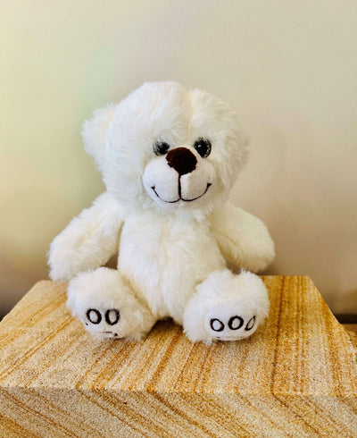 Gorgeous Small Teddy Bear - Hamper My Style